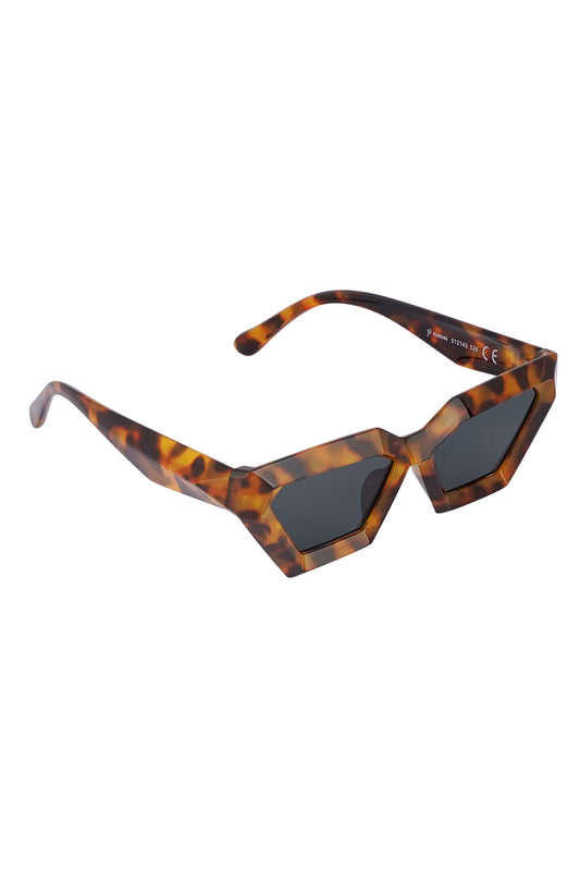 Sunglasses Lizo Brown